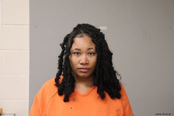 Breanna Marie Wilson Mugshot