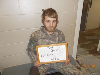 Brian  Box Mugshot