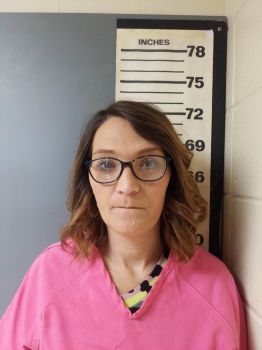 Brittany Nicole Holloway Mugshot