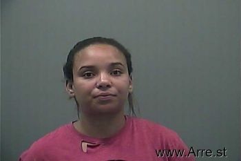 Casey Elizabeth Johnson Mugshot