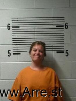 Christin  Haynes Mugshot