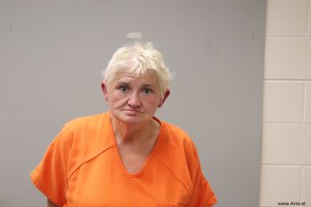 Carolyn Ann Perry Mugshot