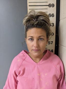 Christina Little Anderson Mugshot