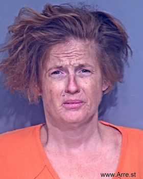 Christina Northan Rollins Mugshot