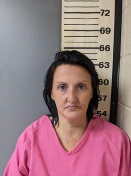 Christy Jacobs Davis Mugshot