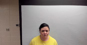 Christy Lynn Lightsey Mugshot