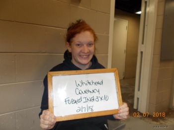 Courtney  Whitehead Mugshot