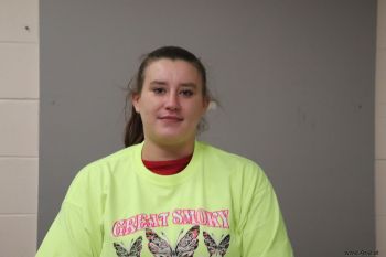 Crystal Leann Payne Lanier Mugshot