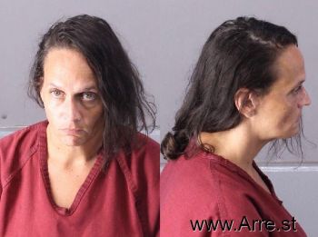 Cynthia Ann Lee Mugshot