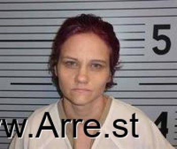 Dixie Lee Coffman-mcgullion Mugshot