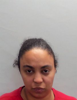 Danielle Lee Nicole King Mugshot