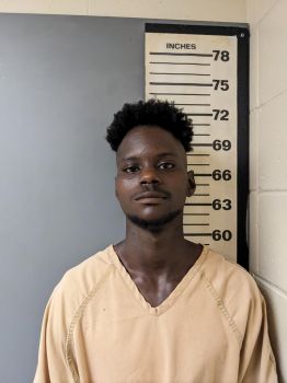 Darrion Markquel Brown Mugshot