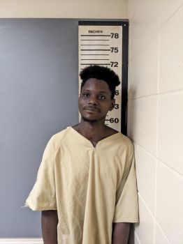 Darrion Markquel Brown Mugshot