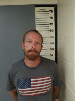 David Asa Johnston Mugshot