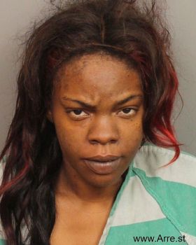 Davida Renee Palmer Mugshot