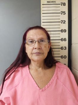 Debra Ann White Mugshot