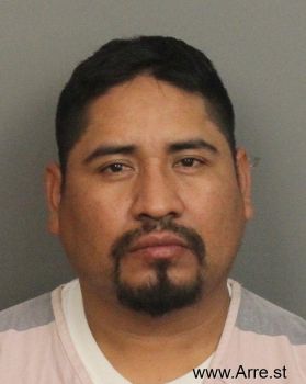 Delfino  Hernandez-martinez Mugshot