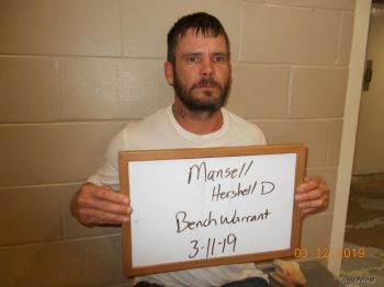 Dewayne  Mansell Mugshot