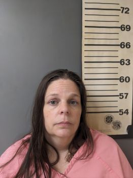 Donna Erica Austin Mugshot