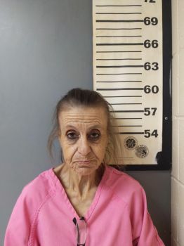 Donna Lynn Turner Mugshot