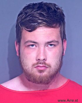 Dylan Mackenzie Green Mugshot