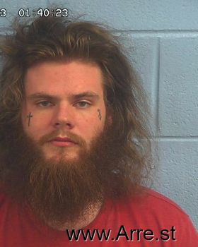 Dylan Austin Stephens Mugshot