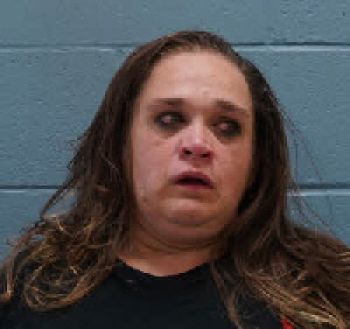 Elaine Nelson Kerri Mugshot