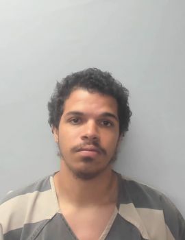 Elijah Noel Browning Mugshot