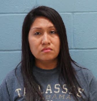 Elizabeth Rios Anna Mugshot