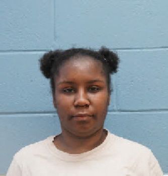 Elizabeth Williams Ashley Mugshot