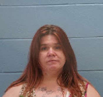 Elizabeth Mcmullen Ashley Mugshot