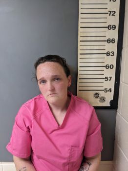 Elizabeth Lee Bennett Boyce Mugshot