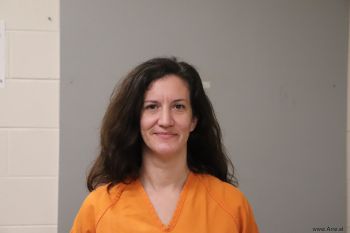 Elizabeth Anderson Callahan Mugshot