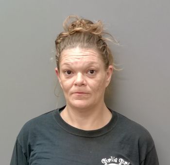 Elizabeth Ann Smith Mugshot