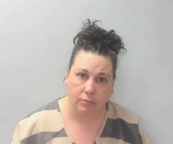 Elizabeth Ann Stewart Mugshot