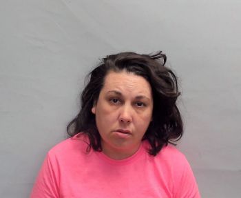 Elizabeth Ann Stewart Mugshot