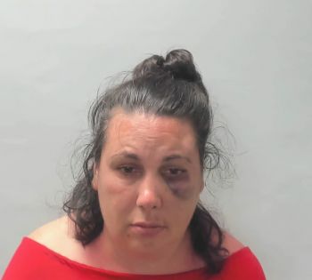 Elizabeth Ann Stewart Mugshot