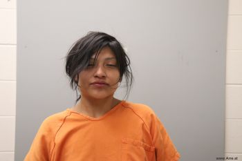 Erica Domingo Alonzo Mugshot