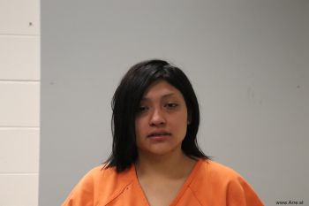 Erica Domingo Alonzo Mugshot