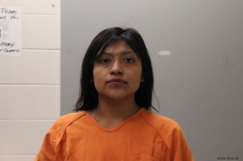 Erica Domingo Alonzo Mugshot