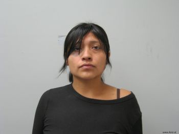 Erica Domingo Alonzo Mugshot