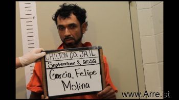 Felipe Molina Garcia Mugshot