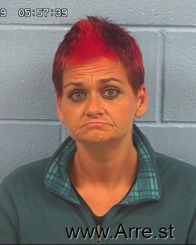 Gerri Mink Couch Mugshot