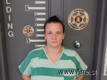 Heather Nichole Carter Mugshot