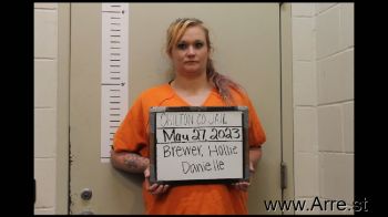 Hollie Danielle Brewer Mugshot