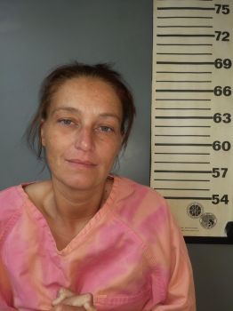 Heather Rochell Powell Mugshot