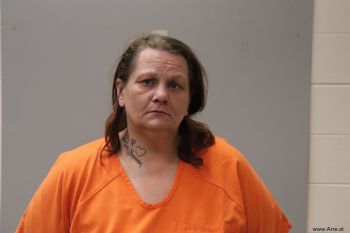 Heather Diane Follmar Turner Mugshot