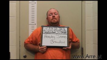 James Brandon Harvley Jr Mugshot