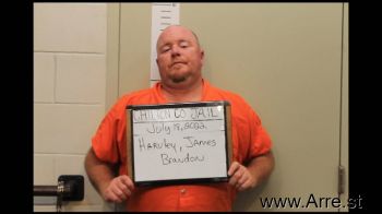 James Brandon Harvley Jr Mugshot