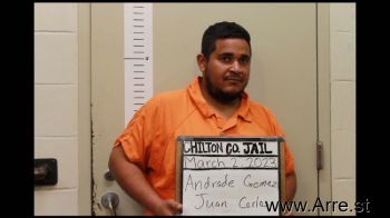 Juan Carlos Andrade Gomez Mugshot